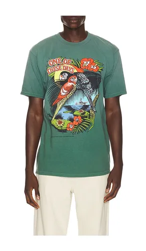 T-SHIRT TROPICAL en . Taille L. Also en M, S, XL/1X, XS, XXL/2X - ONE OF THESE DAYS - Modalova