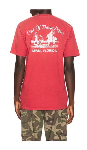 T-SHIRT REVOLVE MIAMI en . Taille L. Also en M, S, XL/1X, XS, XXL/2X - ONE OF THESE DAYS - Modalova