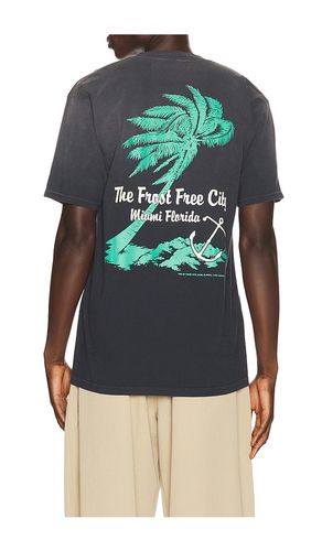 T-SHIRT MIAMI en . Taille L. Also en M, S, XL/1X, XS, XXL/2X - ONE OF THESE DAYS - Modalova