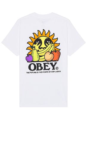 The Future Is The Fruits Of Our Labor Tee in . Size M, S, XL/1X - Obey - Modalova
