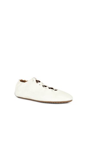 BALLERINES MILLY SCALLOP FLAT en . Taille 37. Also en 38, 39, 41 - Odissi - Modalova