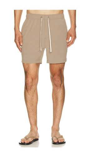 Land To Water Short 6 en . Taille M. Also en S, XL/1X - onia - Modalova