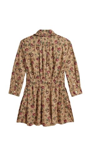 ROBE POPLIN FLORAL en . Taille 3. Also en 5, 6 - Polo Ralph Lauren - Modalova