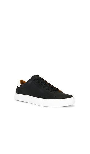 SNEAKERS JERMAIN en . Taille 10. Also en 11, 12, 8, 9 - Polo Ralph Lauren - Modalova
