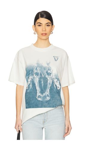 T-SHIRT in . Size M, L, XL/1X - Philcos - Modalova