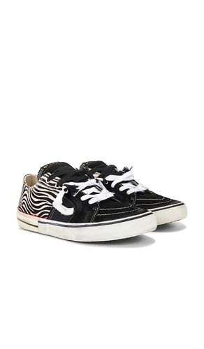 Caly Star Low Sneakers en . Taille 41. Also en 46 - Paul Easterlin - Modalova