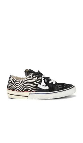 Caly Star Low Sneakers en . Taille 41. Also en 43, 46 - Paul Easterlin - Modalova