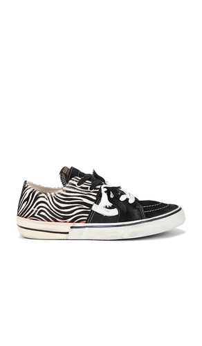 Caly Star Low Sneakers en . Taille 41. Also en 46 - Paul Easterlin - Modalova