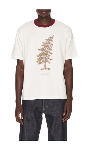 Bicolor Print Cypress T-shirt en . Taille S. Also en M, L, XL/1X - President's - Modalova