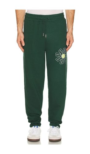PANTALON MOLLETON TENNIS BALL en . Taille L. Also en S, XL/1X - Prince Tennis - Modalova