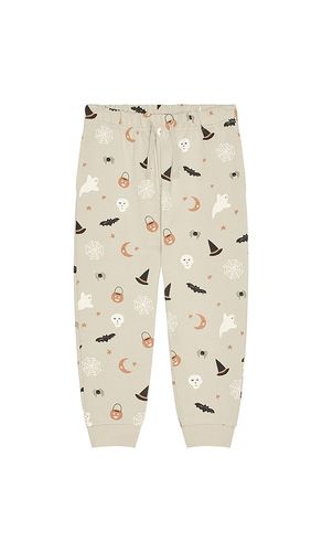 PANTALON SWEAT en . Taille 12-18M. Also en 2-3Y, 4-5Y - QUINCY MAE - Modalova