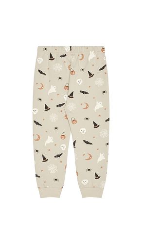PANTALON SWEAT en . Taille 12-18M. Also en 2-3Y, 4-5Y - QUINCY MAE - Modalova