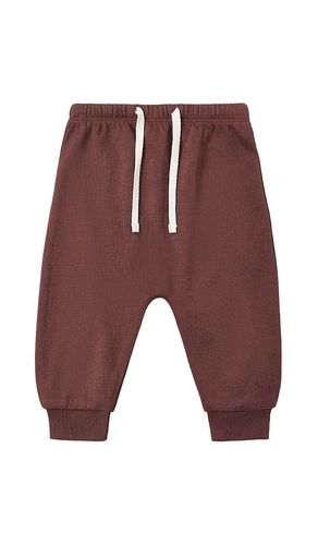 PANTALON SWEAT en . Taille 12-18M. Also en 18-24M, 2-3Y, 4-5Y - QUINCY MAE - Modalova
