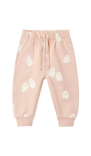 PANTALON SWEAT en . Taille 12-18M. Also en 4-5Y - QUINCY MAE - Modalova