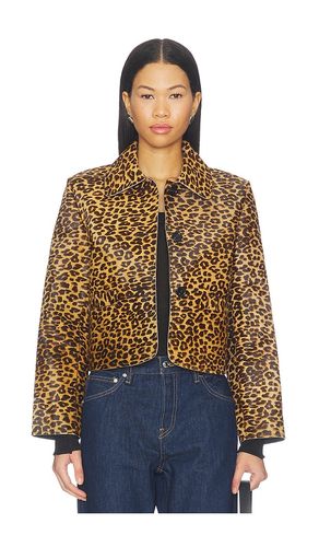 BLOUSON GEORGIE en . Taille L. Also en M, S, XL, XS - Rails - Modalova