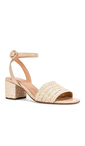 SANDALES NAVA en . Taille 10. Also en 5.5, 6, 7, 7.5, 8, 8.5, 9 - RAYE - Modalova