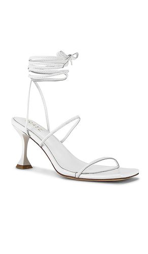 ESCARPINS ROO en . Taille 6.5. Also en 6, 7, 7.5, 8, 8.5, 9, 9.5, 10 - RAYE - Modalova