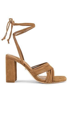 ESCARPINS GIAN en . Taille 10. Also en 5.5, 7, 7.5, 8.5, 9 - RAYE - Modalova