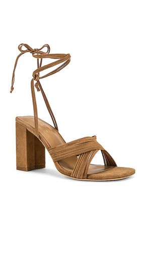 ESCARPINS GIAN en . Taille 10. Also en 5.5, 7, 7.5, 8 - RAYE - Modalova