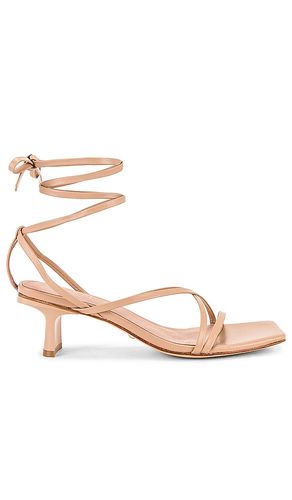 ESCARPINS DELANEY en . Taille 10. Also en 5.5, 6, 6.5, 7, 7.5, 8 - RAYE - Modalova