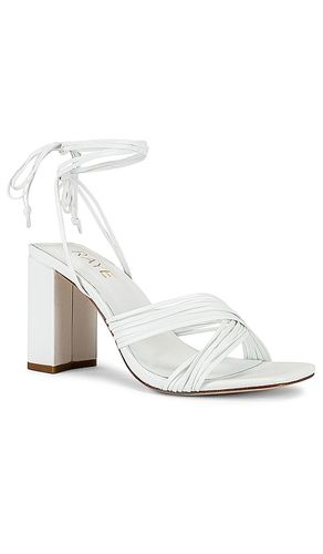 ESCARPINS GIAN en . Taille 10. Also en 6, 6.5, 7, 7.5, 8, 8.5, 9, 9.5 - RAYE - Modalova