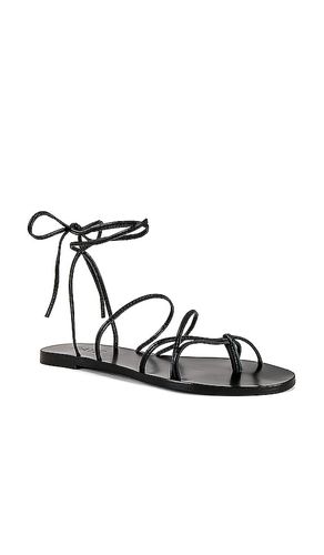 SANDALES SPUR en . Taille 6. Also en 7, 7.5, 9.5 - RAYE - Modalova