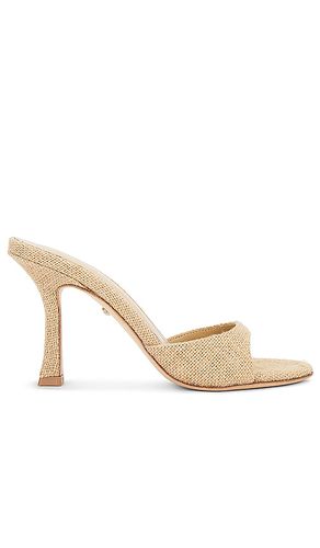 ESCARPINS ALEJANDRA en . Taille 10. Also en 8, 9.5 - RAYE - Modalova