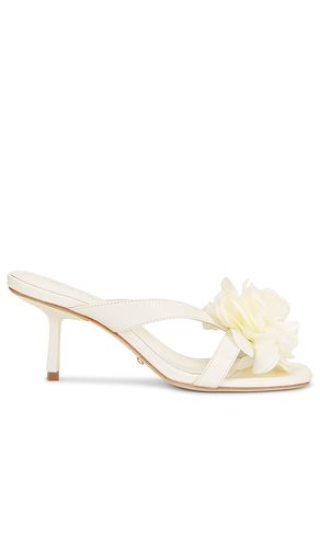 ESCARPINS FLOR en . Taille 5.5. Also en 6, 6.5, 7, 7.5, 8, 8.5, 9, 9.5, 10 - RAYE - Modalova