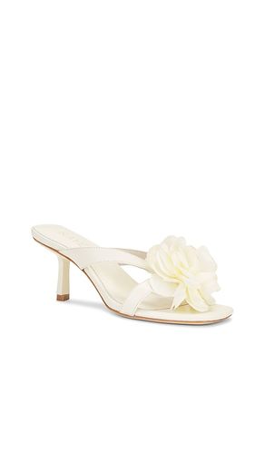 ESCARPINS FLOR en . Taille 10. Also en 5.5, 6, 6.5, 7, 7.5, 8, 8.5, 9, 9.5 - RAYE - Modalova