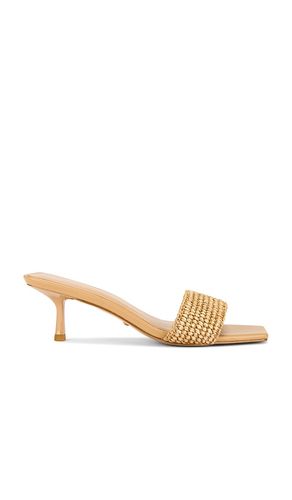 SANDALES À TALONS ISABELLINE en . Taille 6. Also en - RAYE - Modalova