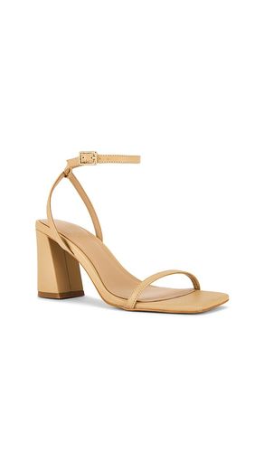 ESCARPINS ZAZA en . Taille 10. Also en 6, 8, 9 - RAYE - Modalova