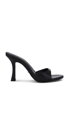 ESCARPINS ALEJANDRA en . Taille 10. Also en 8, 9 - RAYE - Modalova