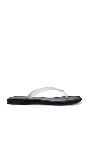 SANDALES ORION en . Taille 6. Also en 6.5, 7, 7.5, 8, 8.5, 9, 9.5 - RAYE - Modalova