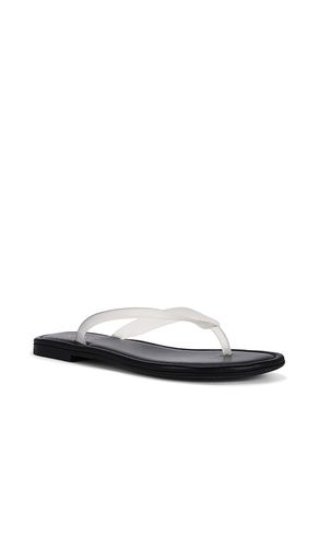 SANDALES ORION en . Taille 6. Also en 6.5, 7, 7.5, 8, 8.5, 9, 9.5 - RAYE - Modalova