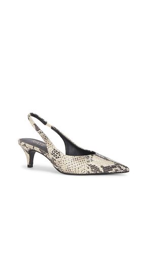 ESCARPIN CALISTA en . Taille 10. Also en - RAYE - Modalova