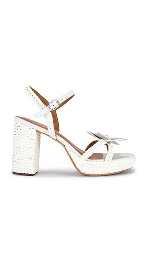 SANDALES SOLIA en . Taille 10. Also en 10.5, 5, 5.5, 6, 6.5, 7.5, 8, 8.5, 9, 9.5 - RAYE - Modalova