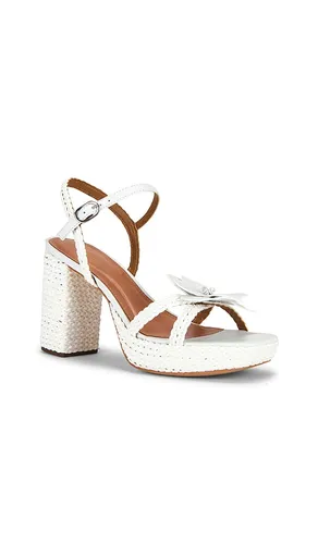 SANDALES SOLIA en . Taille 10. Also en 10.5, 5, 5.5, 6, 6.5, 7.5, 8, 8.5, 9, 9.5 - RAYE - Modalova