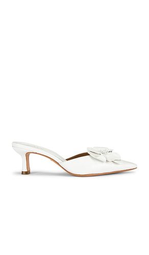 ESCARPIN KENNEDY en . Taille 6.5. Also en 7.5, 9 - RAYE - Modalova