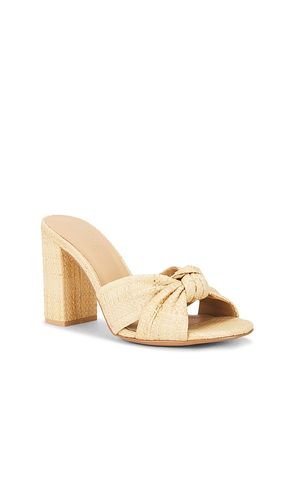 SANDALES BEATRIZ en . Taille 6. Also en 6.5, 7, 7.5, 8, 9, 9.5 - RAYE - Modalova