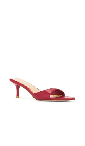 SANDALES CHAD en . Taille 6. Also en 6.5, 7, 8, 8.5 - RAYE - Modalova