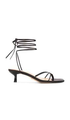 SANDALES JADEN en . Taille 10. Also en 5.5, 6, 6.5, 7, 7.5, 8, 9.5 - RAYE - Modalova