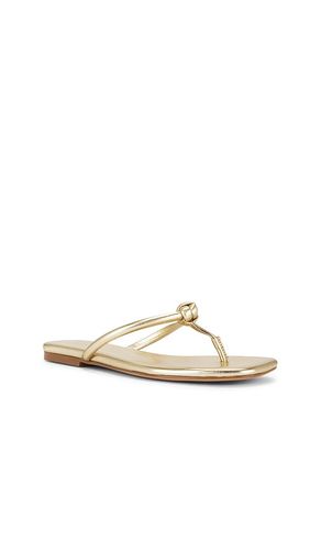 SANDALES AARAV en . Taille 6.5. Also en 7.5 - RAYE - Modalova