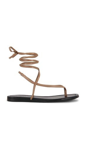 SANDALES ADITI en . Taille 10. Also en 6, 6.5, 9 - RAYE - Modalova