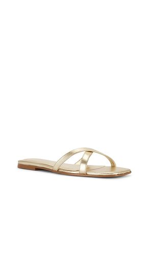 SANDALES YASMINAH en . Taille 5.5. Also en 6, 6.5, 7, 7.5, 8, 9 - RAYE - Modalova