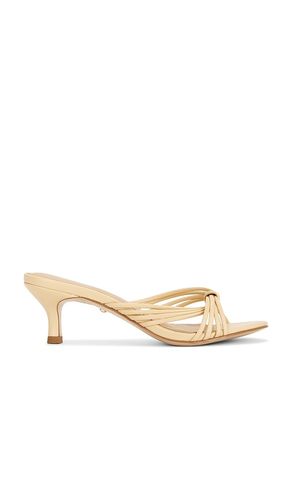 SANDALES RIHAN en . Taille 10. Also en 5.5, 6, 6.5, 7, 7.5, 8, 9.5 - RAYE - Modalova