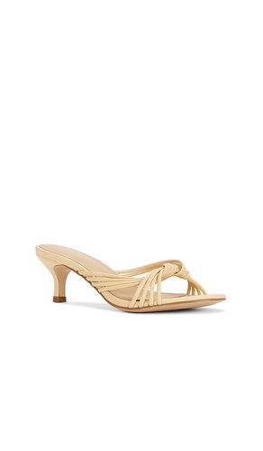 SANDALES RIHAN en . Taille 10. Also en 5.5, 6, 6.5, 7, 7.5, 8, 8.5, 9.5 - RAYE - Modalova