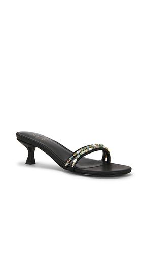 SANDALES DANAE en . Taille 5.5. Also en 6, 6.5, 7, 8, 8.5, 9, 9.5 - RAYE - Modalova