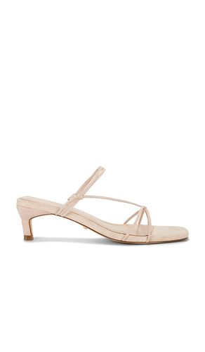 SANDALES AMARI en . Taille 10. Also en 5.5, 6, 6.5, 7, 7.5, 8, 9, 9.5 - RAYE - Modalova