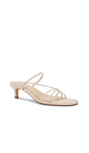 SANDALES AMARI en . Taille 10. Also en 5.5, 6, 7, 7.5, 8, 8.5, 9, 9.5 - RAYE - Modalova