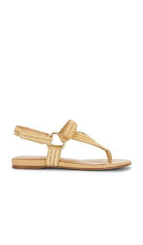 SANDALES ADELINA en . Taille 6.5. Also en 7, 7.5, 8 - RAYE - Modalova